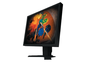 EIZO FlexScan S2100