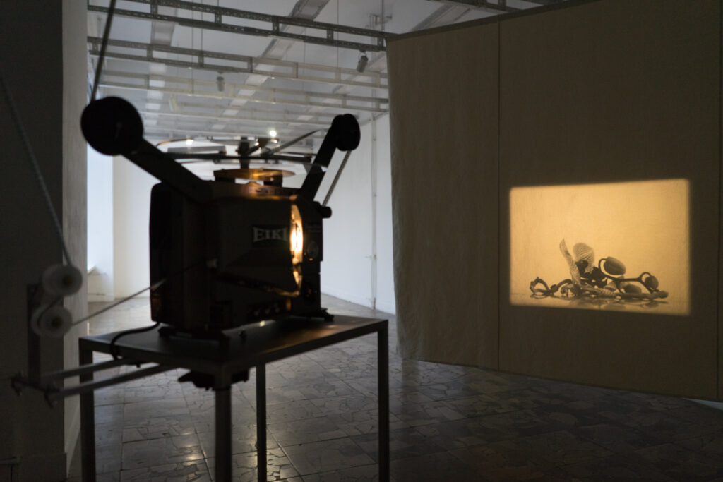 Agnieszka Mastalerz – Nodes
