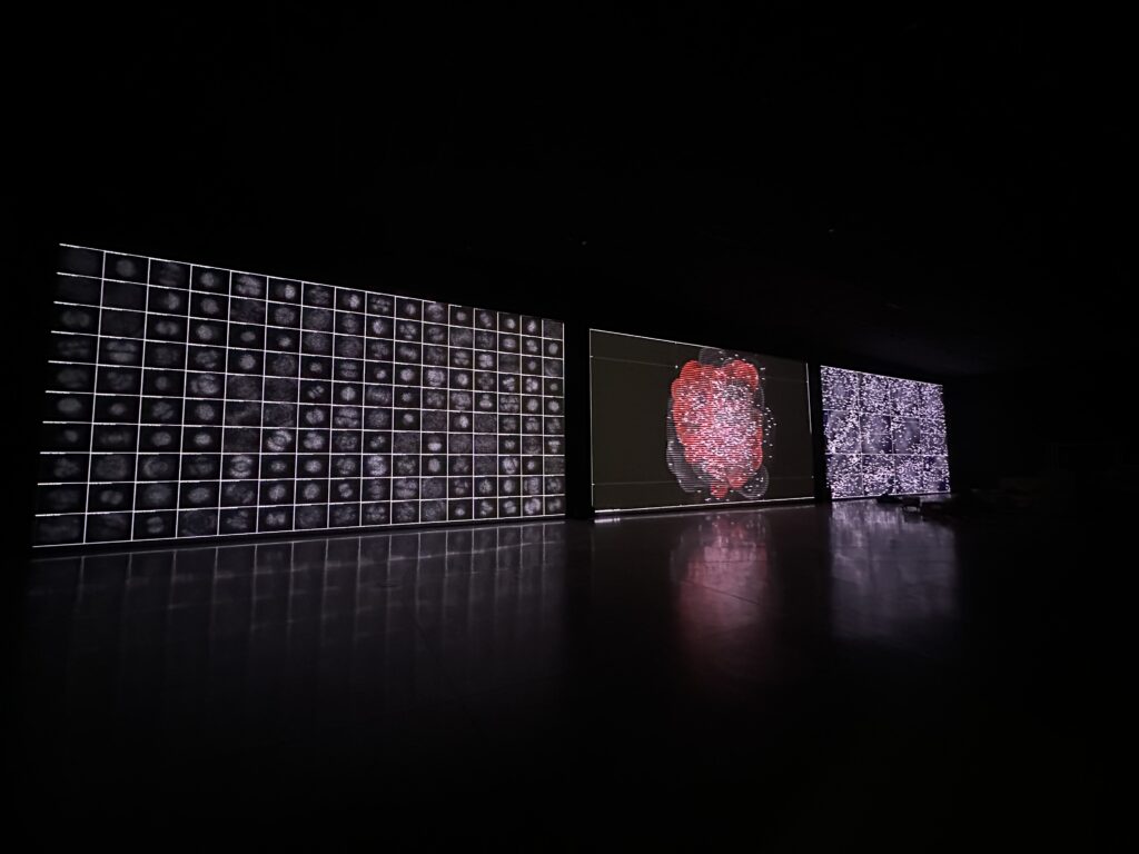 Ryoji Ikeda – Solo Exhibition